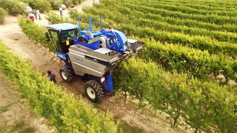 Agricultura Intensiva Qu Es Y C Mo Gestionarla Agroptima