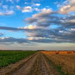 sistemas agrícolas tradicionales sostenibles