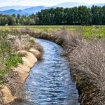 ¿Qué es y para qué sirve la agricultura de irrigación?