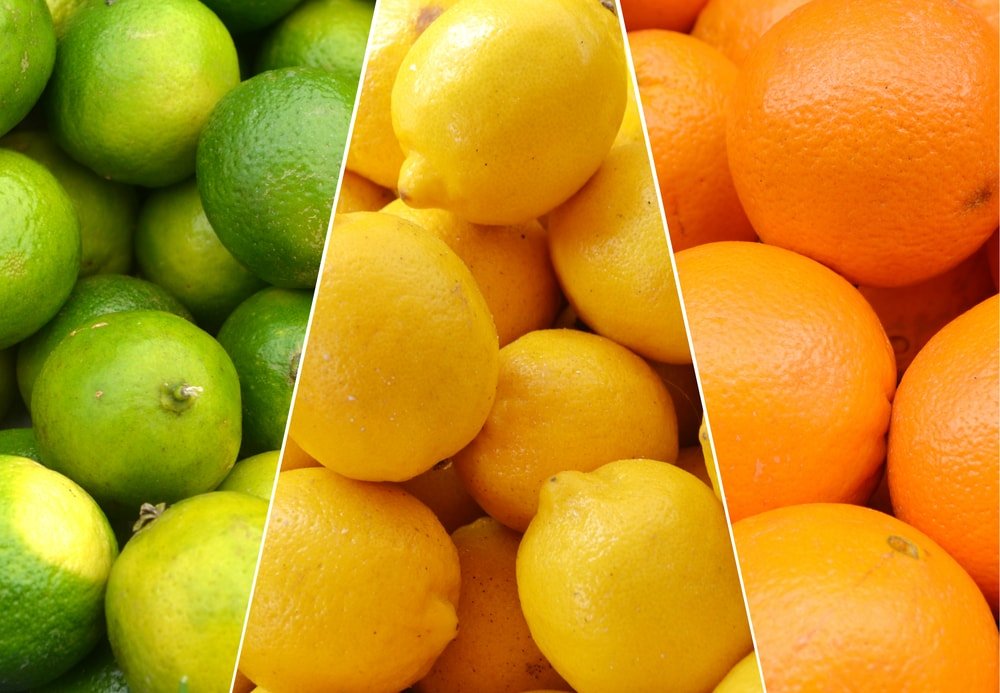 tratamiento de gomosis en citricos