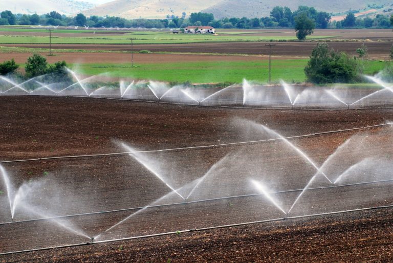 Descubre Aquello Que No Sabías Sobre El Riego Tecnificado - Agroptima