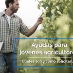 ayudas a jovenes agricultores 2017