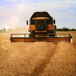 Costes de producción en cereales: claves para su control
