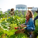 Agromarketing: consejos prácticos para tu explotación