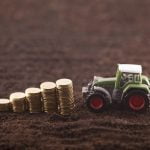 Plantaciones rentables: ¿en qué cultivo invertir?