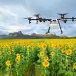 Agricultura de precisión: drones, ¿Una herramienta para tu explotación?