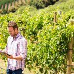 ayudas vitivinicolas 2020 catalunya