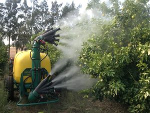 insecticidas contra el minador de los cítricos