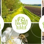 Las 5 principales certificaciones agroalimentarias que debes tener en cuenta