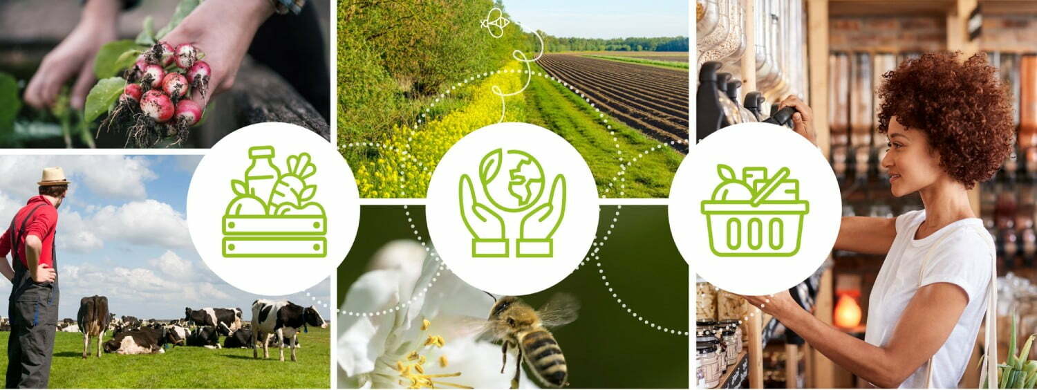 Las 5 principales certificaciones agroalimentarias que debes tener en cuenta